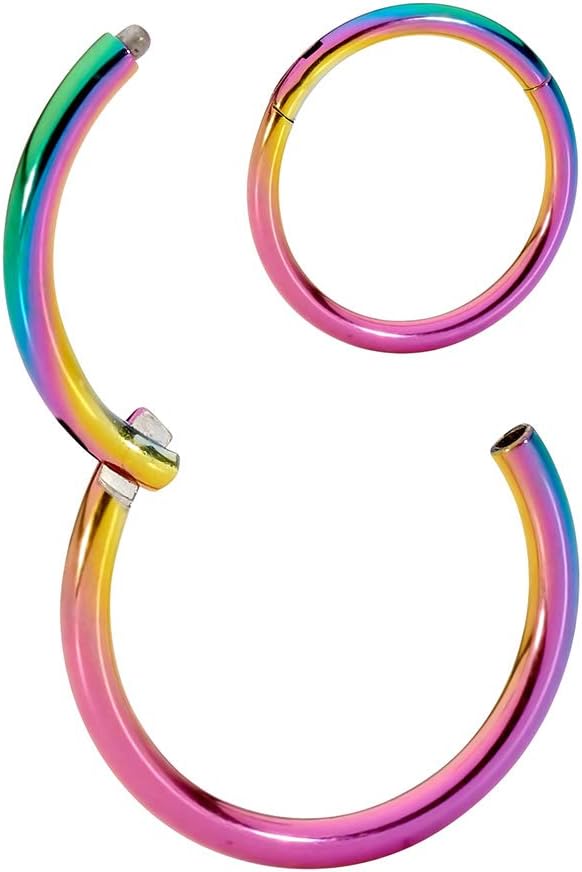 365 Sleepers 316L Surgical Steel 20G, 18G, 16G, 14G, 12G, 10G, 8G, 6G Hinged Segment Ring Body Piercing - Sold Individually