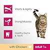 Perfect-Fit-Adult-1-Complete-Dry-Food-for-Adult-Cats-from-1-Year-Old-Rich-in-Chicken-1-pack-of-7kg Perfect Fit Adult 1+ - Complete dry food for adult cats, rich in chicken, suitable for adult cats aged 1+, (1 x 7 kg)