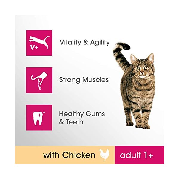 Perfect-Fit-Adult-1-Complete-Dry-Food-for-Adult-Cats-from-1-Year-Old-Rich-in-Chicken-1-pack-of-7kg Perfect Fit Adult 1+ - Complete dry food for adult cats, rich in chicken, suitable for adult cats aged 1+, (1 x 7 kg)