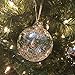 glasburg Christmas Tree Ornaments - Collection of Large Sparkly Glass Bulbs for Shiny Holiday Trees, Wreaths & Garland - Great for Vintage Looking Decorations - 17 Fancy Assorted Sizes, Iridescent