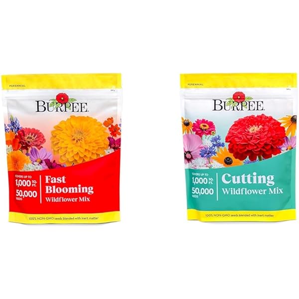 Amazon.com: Burpee 50K Fast Blooming 14 Flower Wildflower
