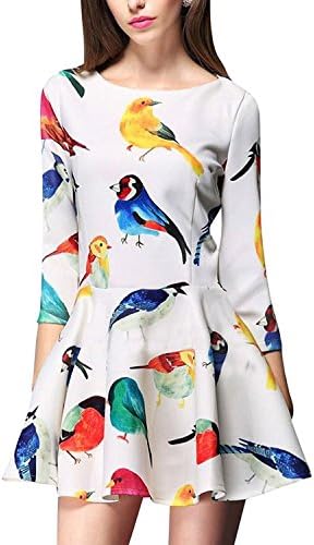 Celewe Women's Fashion Birds Print Round Neck A-line Dress white