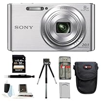 Sony DSCW830 DSCW830 W830 20.1 Digital Camera with 2.7-Inch LCD (Silver) + Standard Large Digital Camera Case + Sony 32GB SDHC/SDXC Memory Card + Accessory Kit