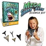 Mega Shark Teeth Kit  Includes 6 Megalodon Tooth Replica!
