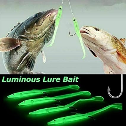 amazon fishing supplies