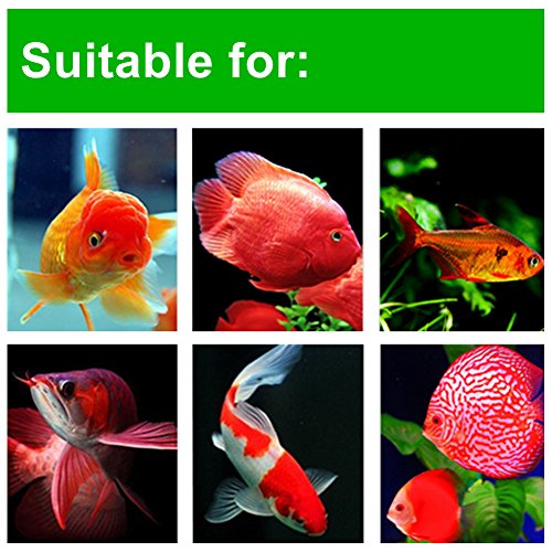Kuiji Electric Aquarium Automatic Fish Feeder Auto Fish Food