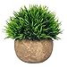 Artificial Plant for Home Decor Grass Lovely Fake Plants in Pot Decoration (Green)