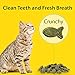 Feline Dental Treats — Tasty and Crunchy Cat Dental Treats Grain Free — Natural Dental Treats to Clean Cat Teeth, Freshen Cat Breath, and Reduce Plaque and Tartar Buildup — Chicken Treats, 3 oz