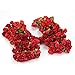 ReFaxi144 X Chic Mini Artificial Paper Rose Flower Wedding Card Decor Craft (Red)