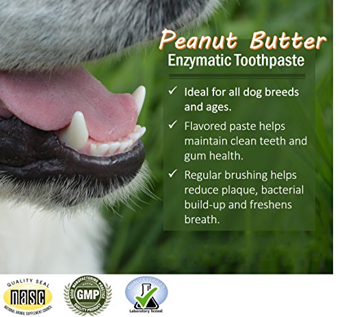 Vet Worthy Peanut Butter Toothpaste for Dogs (3 oz)