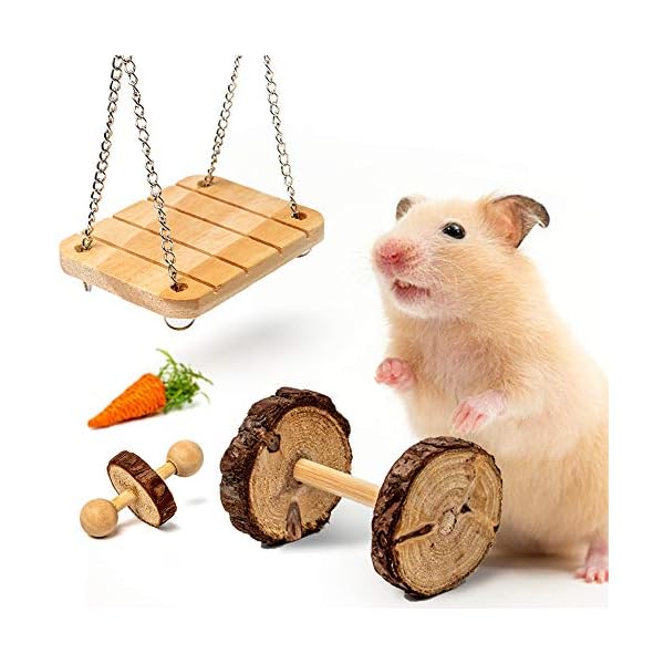 Labeol-Hamster-Chew-Toys-Accessories-Pet-Natural-Wooden-11-Pcs-Gerbil-Rat-Guinea-Pig-Chinchilla-Gerbils-Dumbbells-Accessories-Exercise-Bell-Roller-Teeth-Care-Molar-Toy-for-Parrot-Syrian-Hamster Labeol Hamster Chew Toys Small Animal Boredom Breakers Cage Accessories Pet 11 Pcs Natural Wooden Toys Hamster Ball…