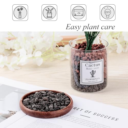 JOHOUSE 2.5 LB Black Horticultural Lava Rocks, Lava Rocks for Plants Natural Horticultural Volcanic Rocks for Succulents Bonsai Vase Fillers Garden