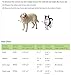 Ideal Pet Products Original Pet Door with Telescoping Frame, Extra-Large, 10.5