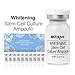 Stayve Whitening Stem Cell Culture Ampoule Serum
