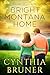 Bright Montana Home (A Moose Hollow Novel Book 2) by