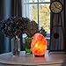 Amethya Natural Himalayan Salt Lamp, Hand Carved with Elegant Wood Base (Set of 2)