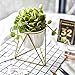 NCYP Geometric Iron Rack Holder Metal Stand Gold with White Ceramic Planter Indoor Desktop Garden Pot for Succulents Herbs Cactus Modern Style Window Sill Decorative Bonsai ( NO Plants )