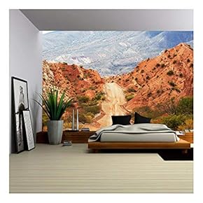 Landscapes in Northern Argentina - Removable Wall Mural | Self-Adhesive Large Wallpaper - 66x96 inches