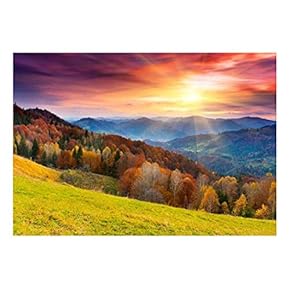 Colorful Mountain Forest in Automn - Landscape - Wall Mural, Removable Sticker, Home Decor - 66x96 inches