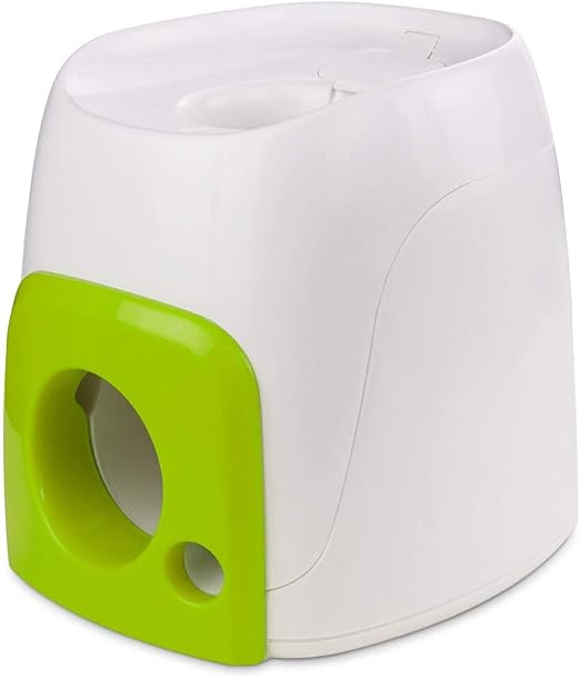 westminster dog show best in show