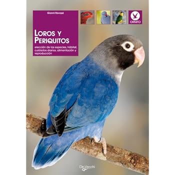 Loros y periquitos (Animales)