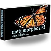 Fliptomania Caterpillar to Monarch Butterfly Metamorphosis Flipbook