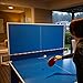 Harvil Outsider Table Tennis Table