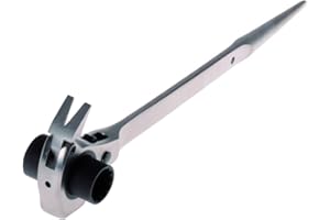 Projahn 2319221 Scaffold Spanner 19 x 22 mm with Hammer and Nail Puller Function