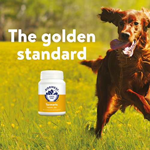 Dorwest Herbs Turmeric Tablets for dogs and cats, 100 tablets