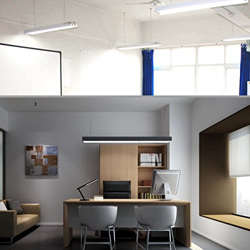 5 Garages+Daylight+Ceiling+Wrapround+Worklight