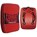 Combat Sports Big Pad MMA Punch Shield