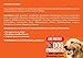 Dog Probiotic Powder & Glucosamine For Dogs With Turmeric - 247 Grams - All In One Dog Supplement For Digestion, Joint & Hip Support - 500 Probiotics For Dogs Servings/Jar - 2.5 Billion CFU's/Serving