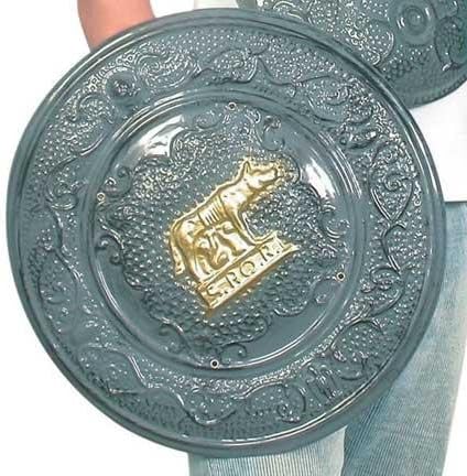 Fancy Dress Costume Armour Roman Shield