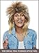 Tina Turner Wig Tina Turner Costume Wig Rocker Wig- Blonde and Brown Mix