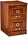 Coaster Home Furnishings Palmetto 2-Drawer Oak File Cabinet, Warm Honey