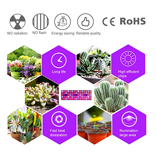 5 Lights+Spectrum+Indoor+Succulents+Seedling