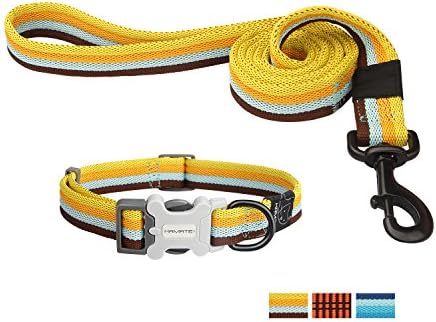 Pet Collar Leash Set Personalized Multi-color Traction Rope for Walking Training for Small and Medium Dog (S, Brown)