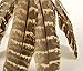 SmartyKat Toss-A-Fox Feather Toss & Chase Cat Toy, Randomly Selected Color - Brown OR White, One Size