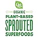 Go Raw Snacks, Sprouted Superfood Cookie Crisps, Gluten Free, Vegan, Natural, Organic, Choco Crunch, 18 Oz, Pack of 6