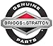 Briggs & Stratton 281505S