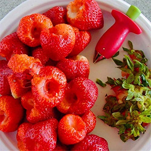 Cutter Fruit - Red With Green Coring Vegetable Fruit Stem Gem Strawberry Corer Remover And Tomato Huller - Stem Blender Shape Corer Knife Tools Food Peeler Pineapple Avocado Watermelon Garlic - Thumbnail 4