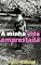 Livro A minha vida emprestada
