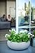Keter Cozies Plastic Planters