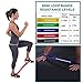 Premium Resistance Loop Bands (set of 5) Exercise Band Set for Workouts, Resistance Training & Physical Therapy Routines.