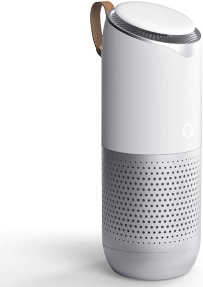 AJDGL Smart Air Purifier, Portable Car Ionizer Air Cleaner, Low Noise, Remove Dust, Smoke, Odors, USB Charging, for in Bedroom, Office