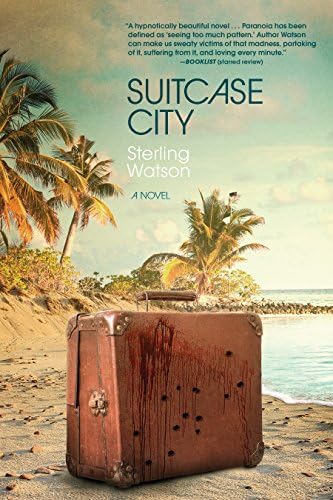 Suitcase City Paperback – March 3, 2015