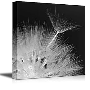 Canvas Prints Wall Art - Head of Dandelion Close-Up | Modern Wall Decor/Home Decoration Stretched Gallery Canvas Wrap Giclee Print & Ready to Hang - 12" x 12"