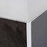 Virtual Plastics Plastic Corner Trim 50mm x 50mm 1m White PVC 90 Degree view 5