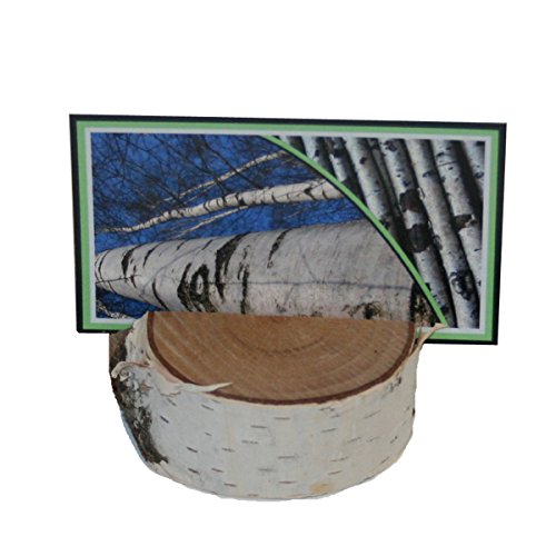 White Birch Place Card Holders, set of 12