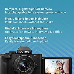 Panasonic LUMIX G100 Mirrorless